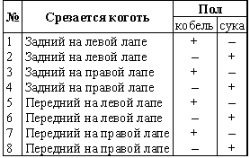 Воспитание щенка - i_002.png