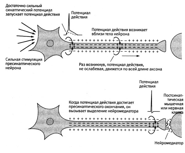 В поисках памяти - i_024.jpg