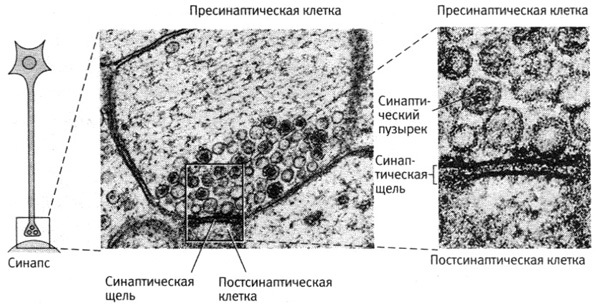 В поисках памяти - i_025.jpg