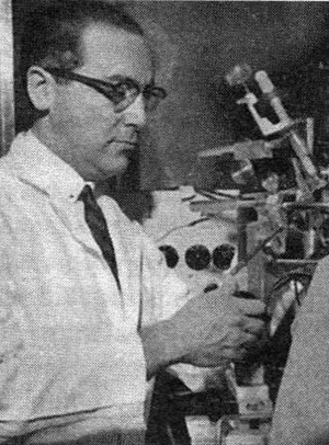 В поисках памяти - i_027.jpg