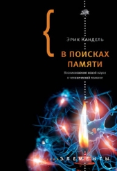 В поисках памяти: Возникновение новой науки о человеческой психике - автор Кандель Эрик Ричард 