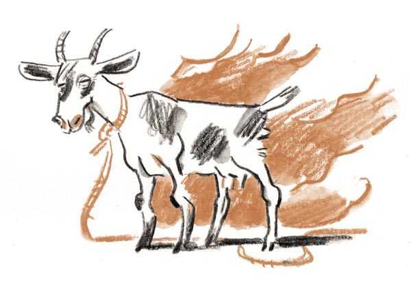 Когда я был маленьким, у нас была война… (сборник) - i_005.jpg