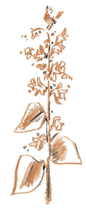 Когда я был маленьким, у нас была война… (сборник) - i_010.jpg