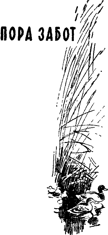 Пора забот - i_002.png