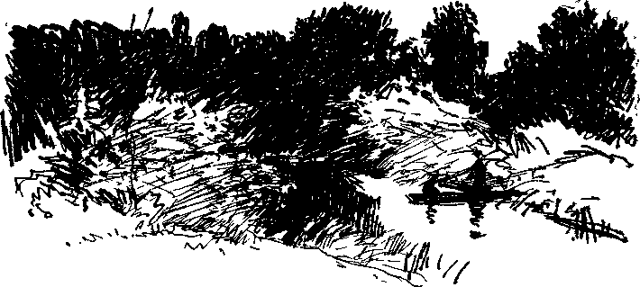 Солнечный круг - i_014.png