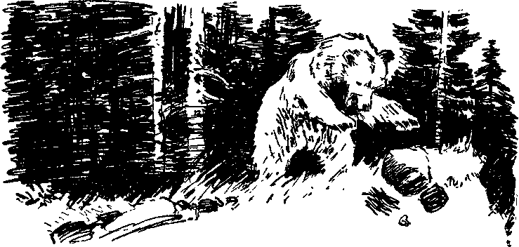 Солнечный круг - i_020.png