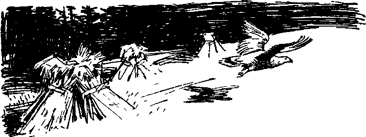 Солнечный круг - i_023.png