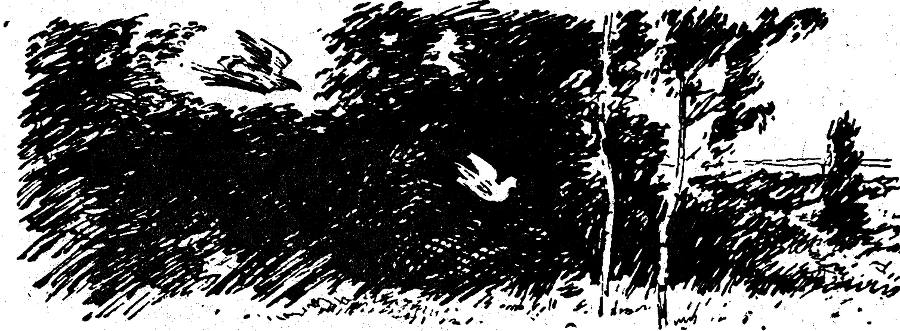 Солнечный круг - i_026.png