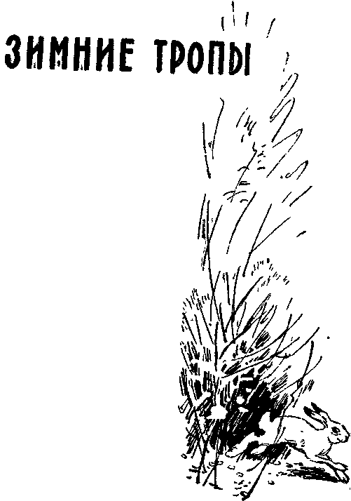 Солнечный круг - i_028.png