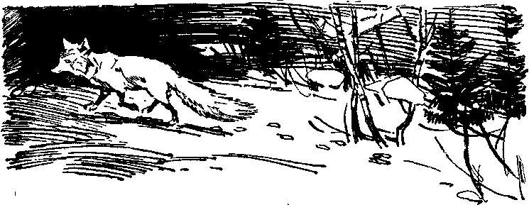 Солнечный круг - i_030.png