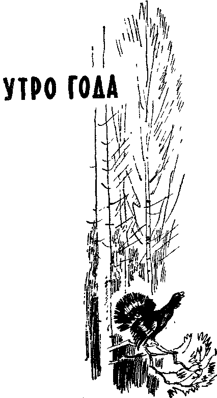 Утро года - i_002.png