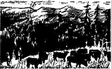 Мы идем на Кваркуш - img_6.jpg