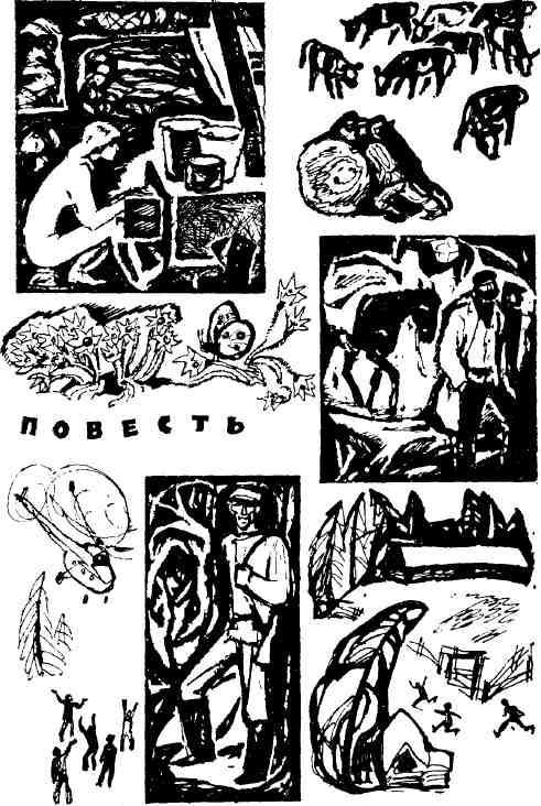 Парма - img_3.jpeg