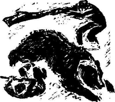 Парма - img_4.jpeg