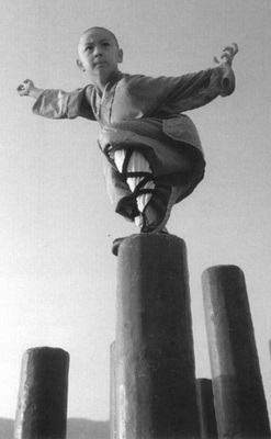 Шаолиньцюань для начинающих - _20.jpg