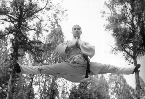 Шаолиньцюань для начинающих - _4.jpg