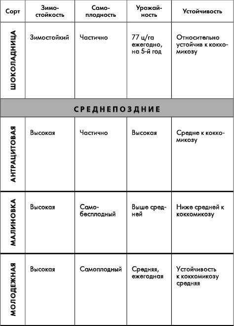 Путеводитель по лучшим плодовым и ягодным культурам - _61.jpg