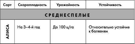 Путеводитель по лучшим плодовым и ягодным культурам - _71.jpg
