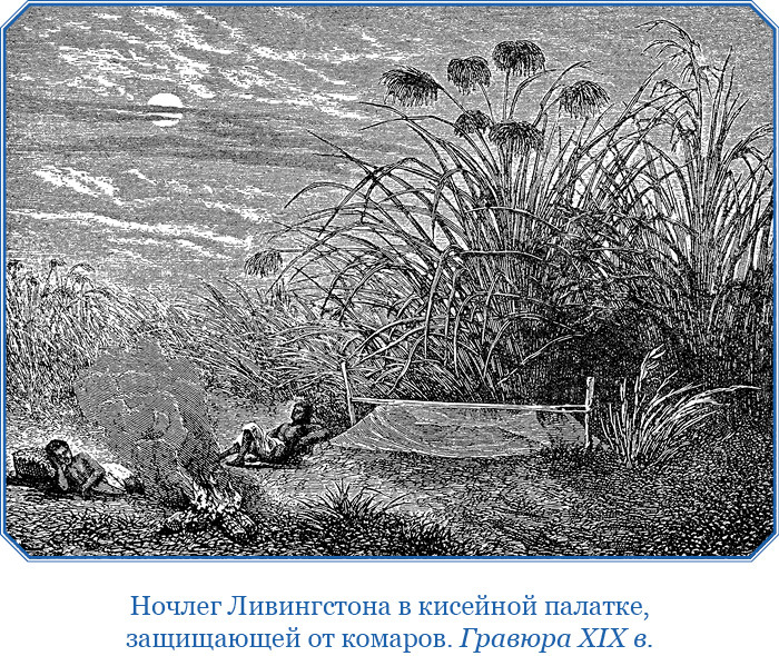 Дневники исследователя Африки - i_017.jpg