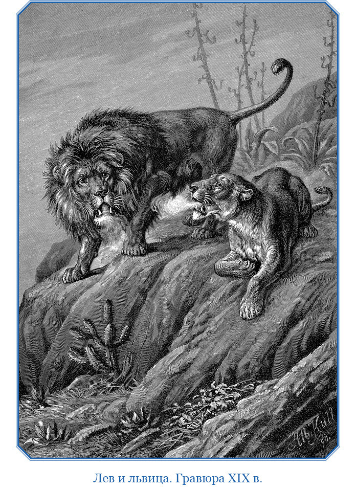 Дневники исследователя Африки - i_021.jpg