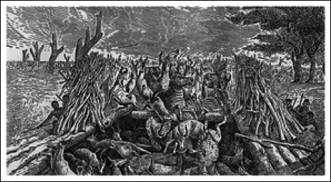 Путешествия и исследования в Африке - i_005.png