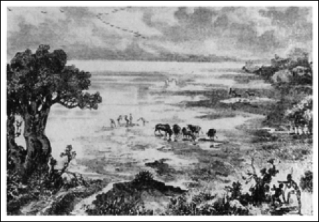 Путешествия и исследования в Африке - i_011.png