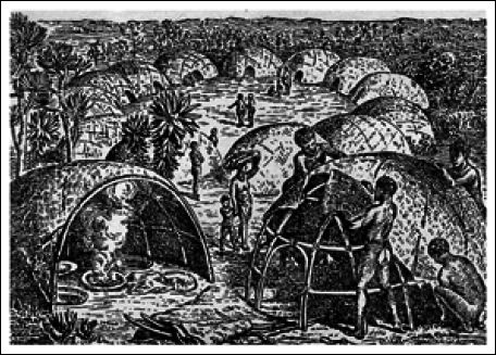 Путешествия и исследования в Африке - i_013.png