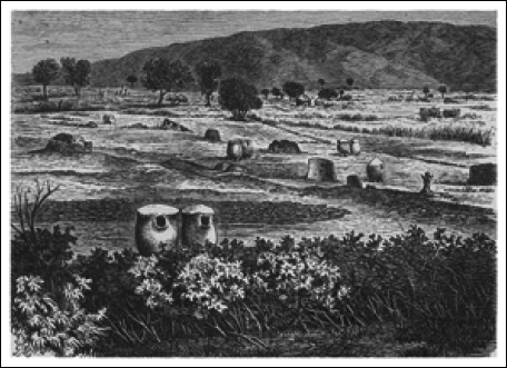 Путешествия и исследования в Африке - i_032.png