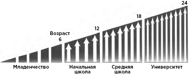 Монтессори сегодня. Комплексный подход к воспитанию от рождения до взрослой жизни - i_001.png