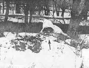 Искусство снайпера - Image273.jpg