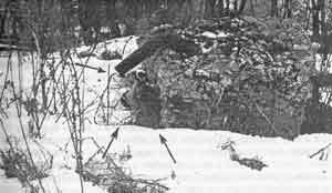 Искусство снайпера - Image277.jpg