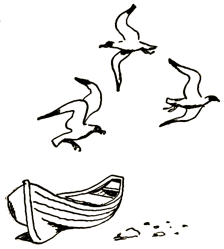 Лето на колёсах [Повести] - i_027.png