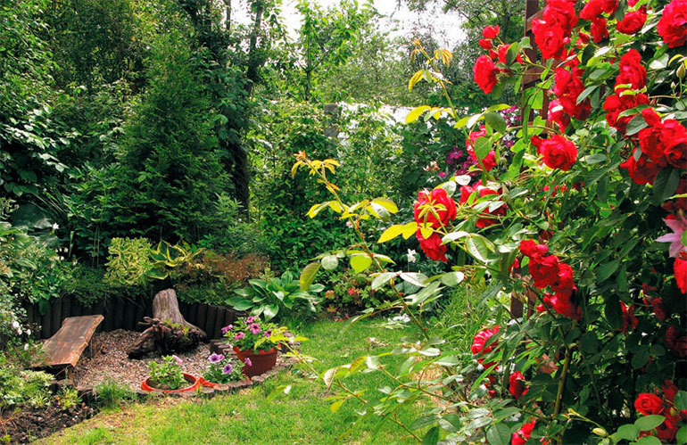 Розы в дизайне вашего сада - i_016.jpg