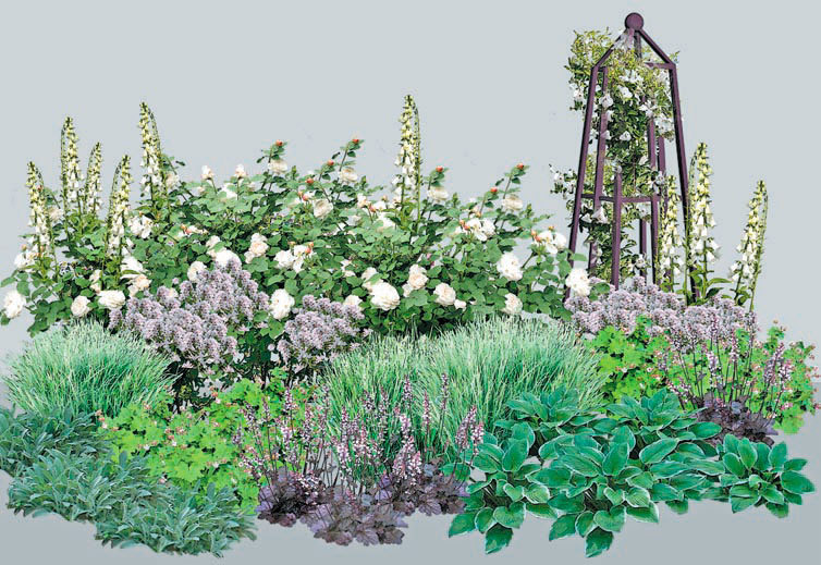 Розы в дизайне вашего сада - i_020.jpg