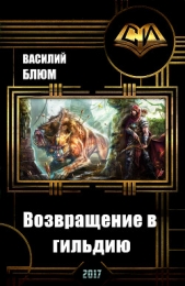 Возвращение в гильдию (СИ) - автор Блюм Василий Борисович 