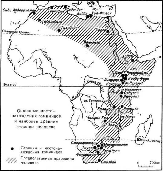 Три миллиона лет до нашей эры - i_007.jpg