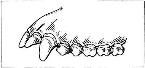 Три миллиона лет до нашей эры - i_024.jpg