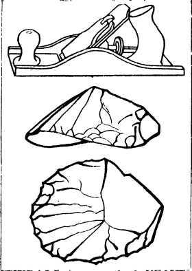 Три миллиона лет до нашей эры - i_030.jpg