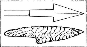 Три миллиона лет до нашей эры - i_031.jpg