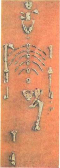 Три миллиона лет до нашей эры - i_042.jpg