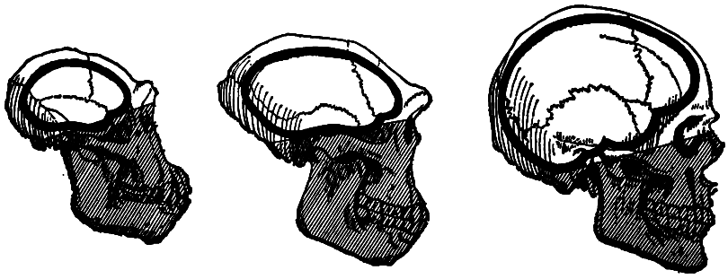 У истоков человечества - i_004.png