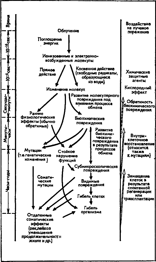 У истоков человечества - i_020.png