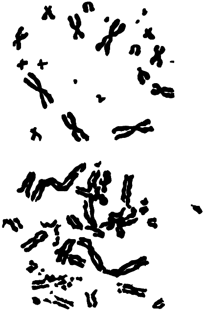 У истоков человечества - i_023.png