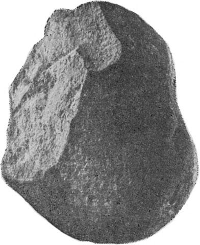 У истоков человечества - i_030.jpg