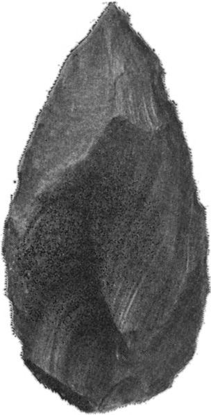 У истоков человечества - i_034.jpg