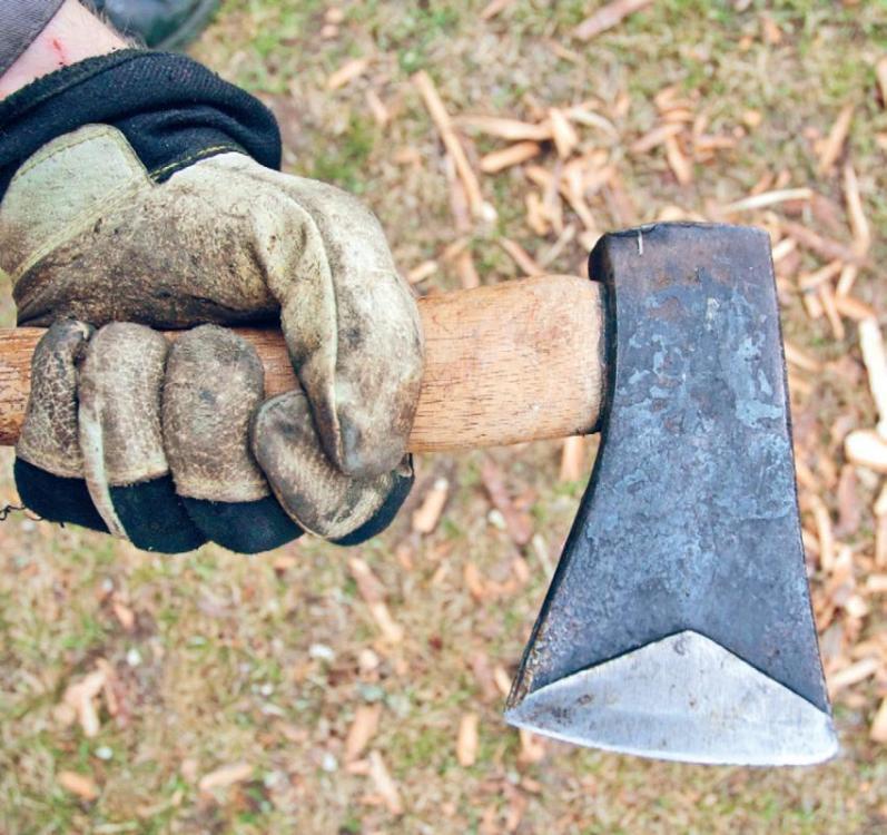 Норвежский лес: скандинавский путь к силе и свободе - _009_.jpg