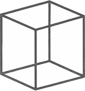 Мозг рассказывает.Что делает нас людьми - _9.jpg