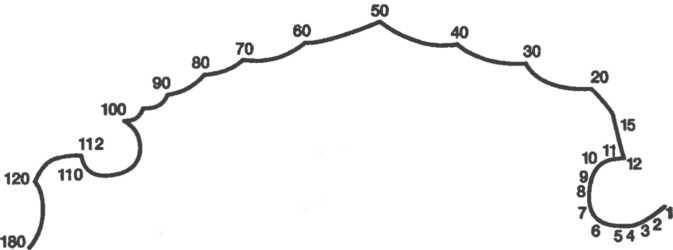 Мозг рассказывает.Что делает нас людьми - _28.jpg