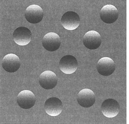 Мозг рассказывает.Что делает нас людьми - _13.jpg