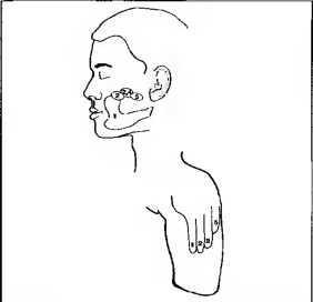 Рождение разума. Загадки нашего сознания - img_3.jpeg